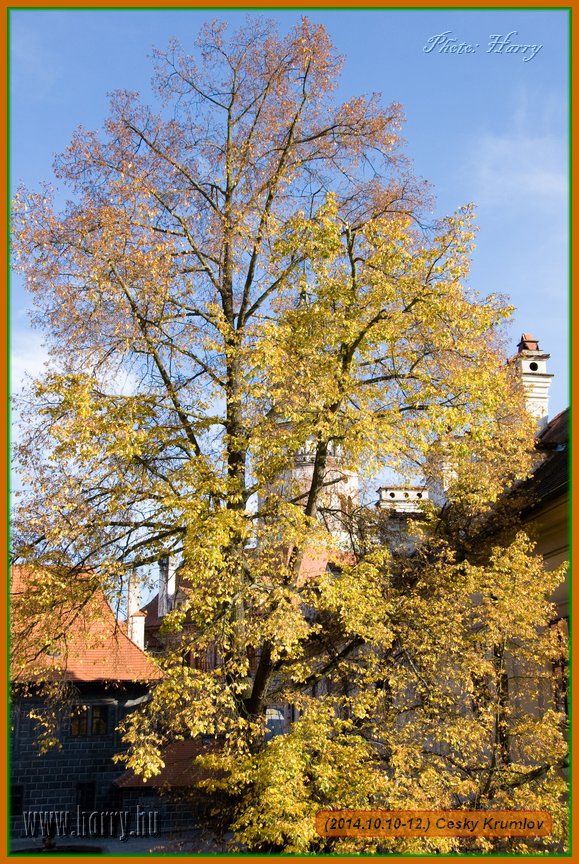 (2014.10.10-12.)Cesky_Krumlov-173.jpg