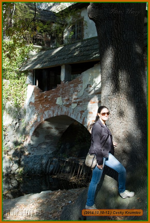 (2014.10.10-12.)Cesky_Krumlov-204.jpg