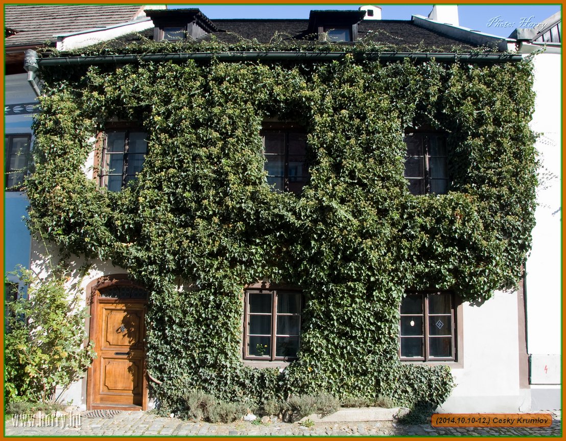 (2014.10.10-12.)Cesky_Krumlov-210.jpg