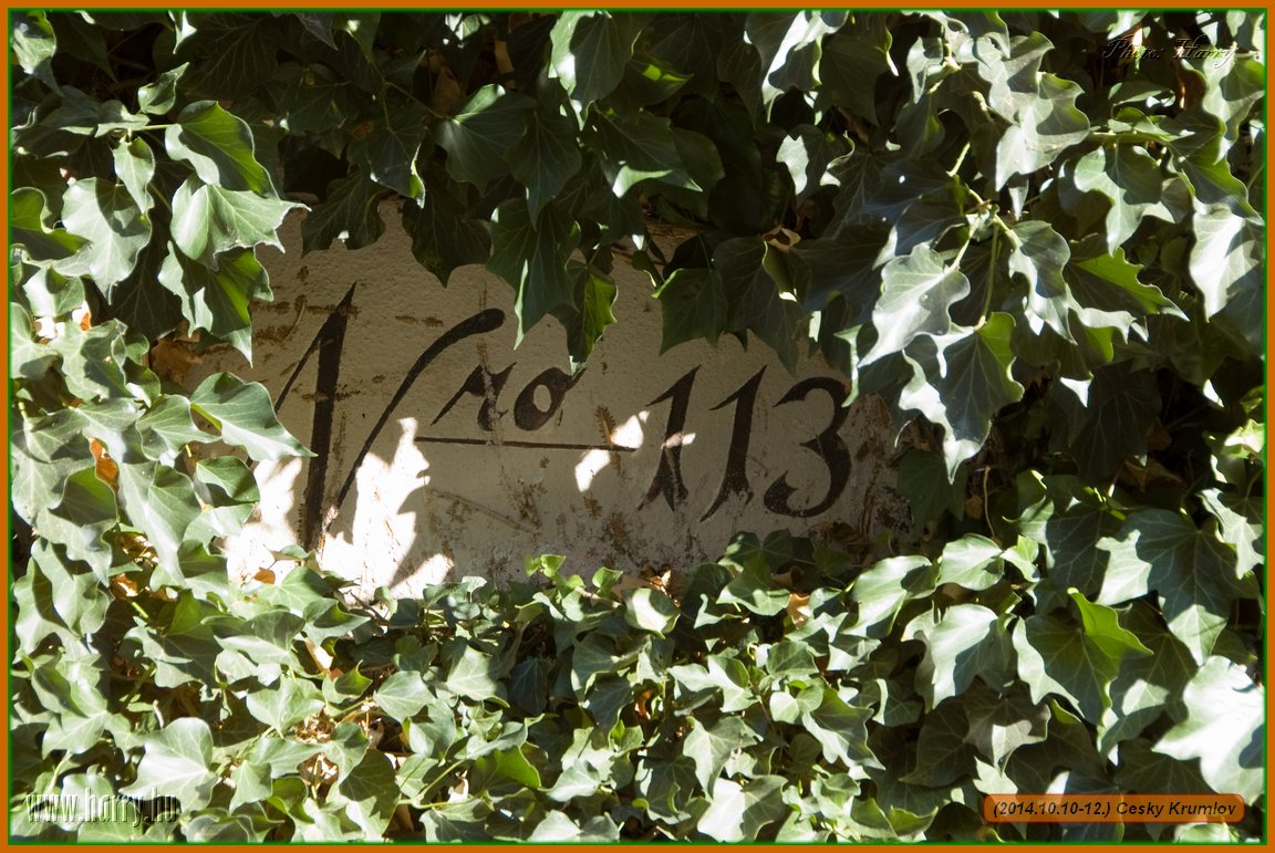 (2014.10.10-12.)Cesky_Krumlov-211.jpg