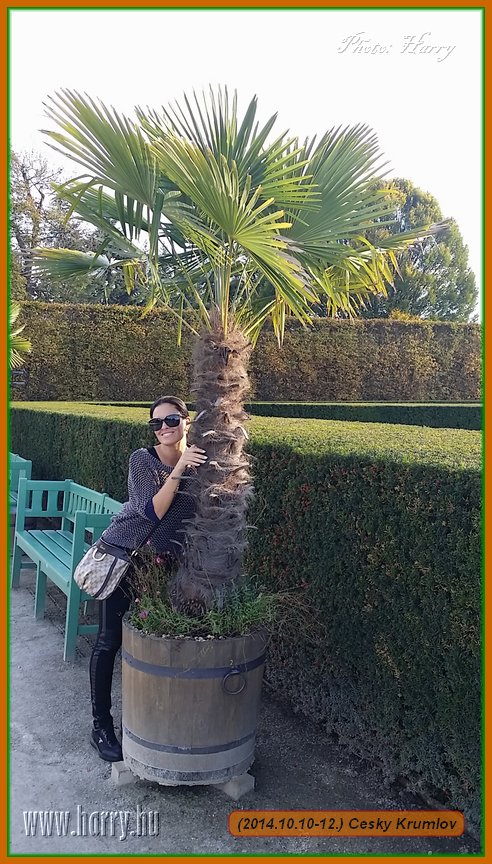 (2014.10.10-12.)Cesky_Krumlov-MobilFoto-057.jpg