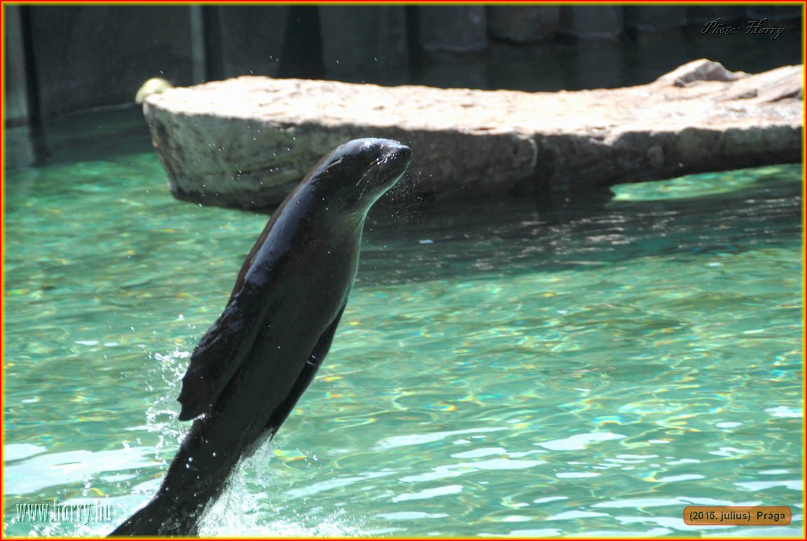 (2015.julius)Praga-111.jpg