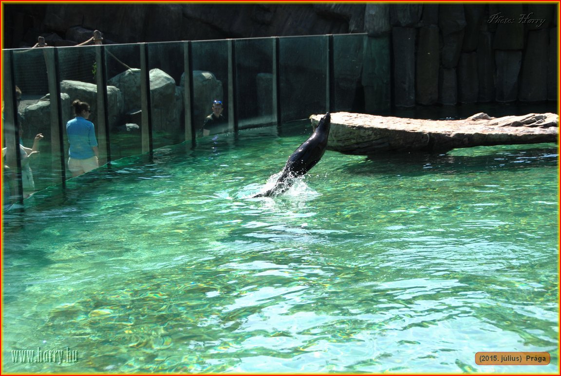 (2015.julius)Praga-113.jpg