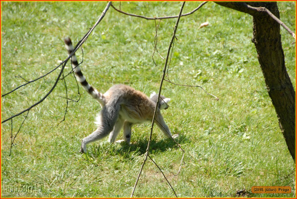 (2015.julius)Praga-118.jpg