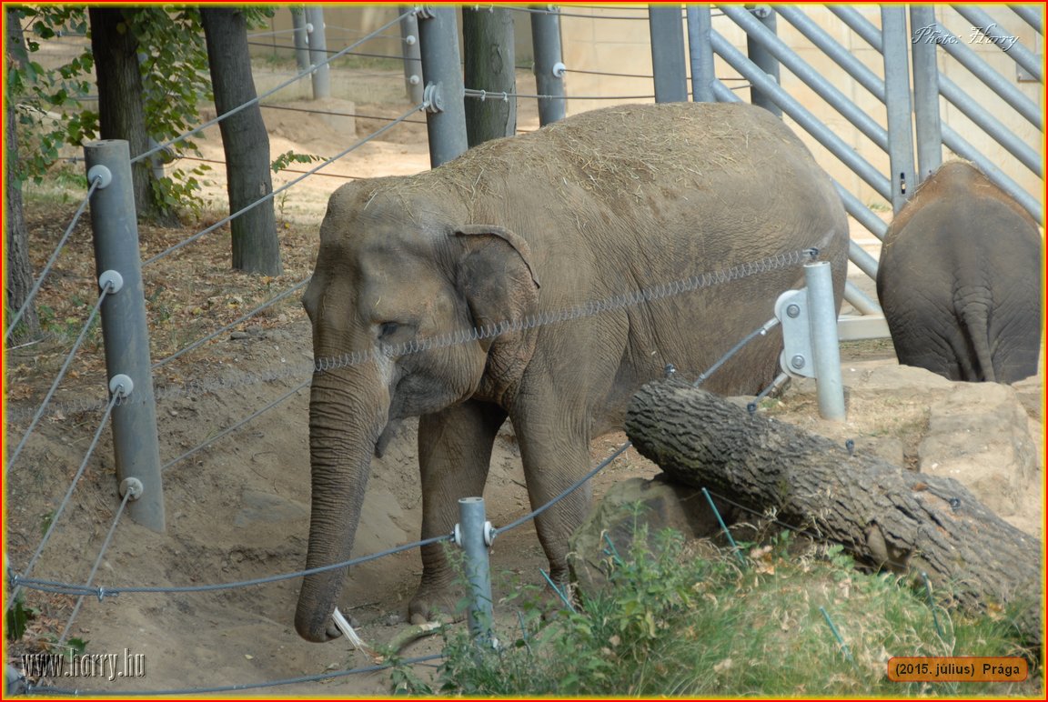 (2015.julius)Praga-146.jpg