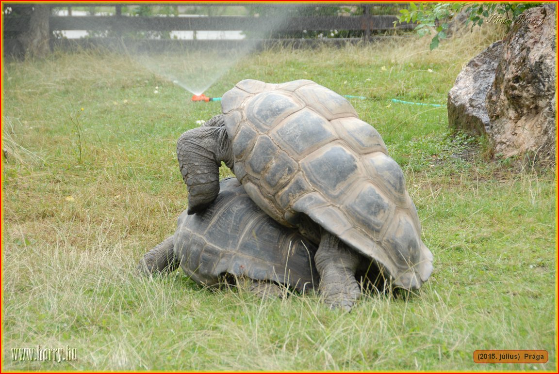 (2015.julius)Praga-163.jpg