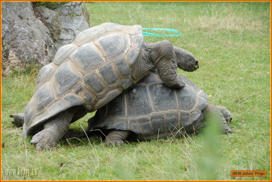 (2015.julius)Praga-164.jpg