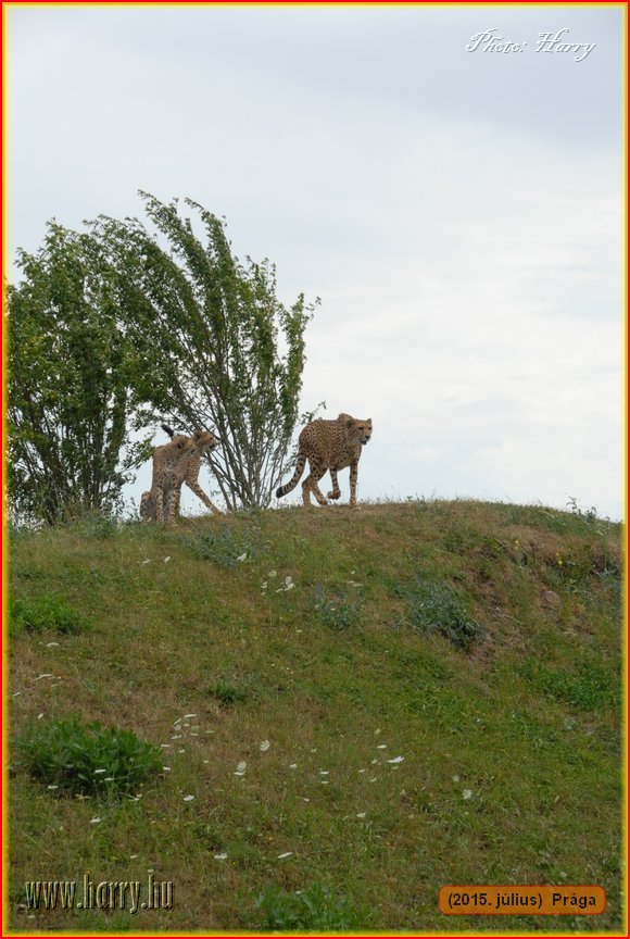 (2015.julius)Praga-166.jpg