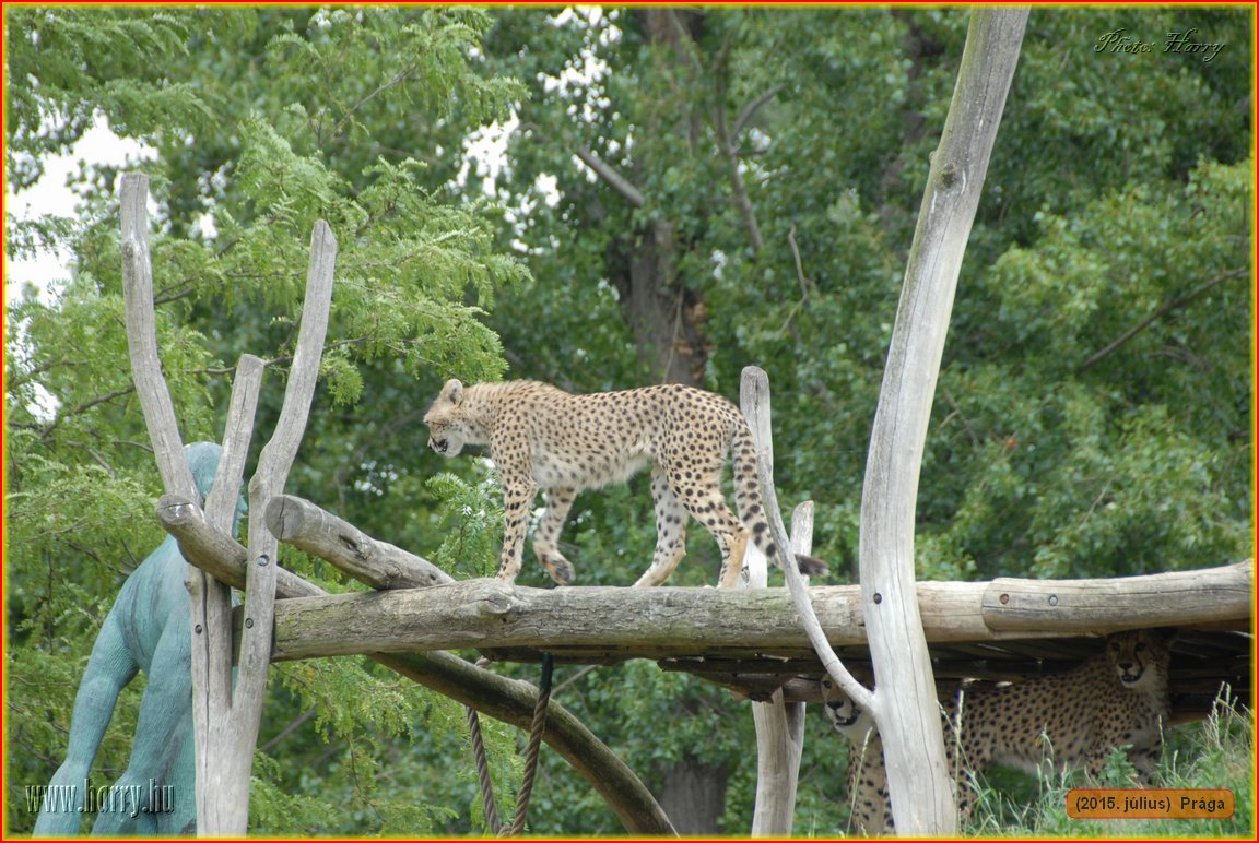 (2015.julius)Praga-169.jpg