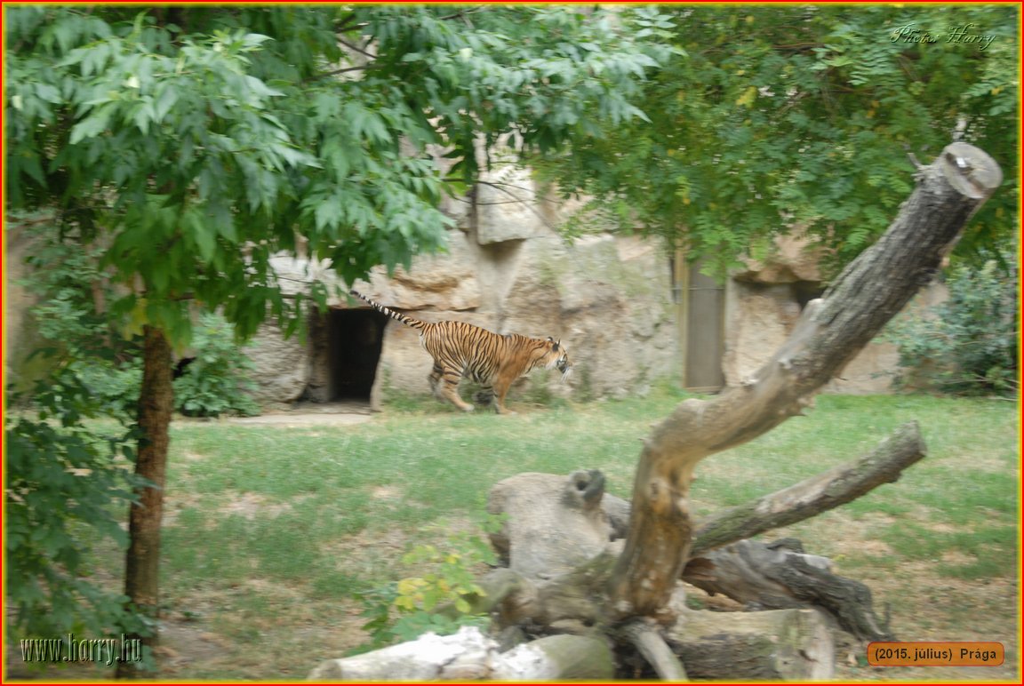 (2015.julius)Praga-172.jpg