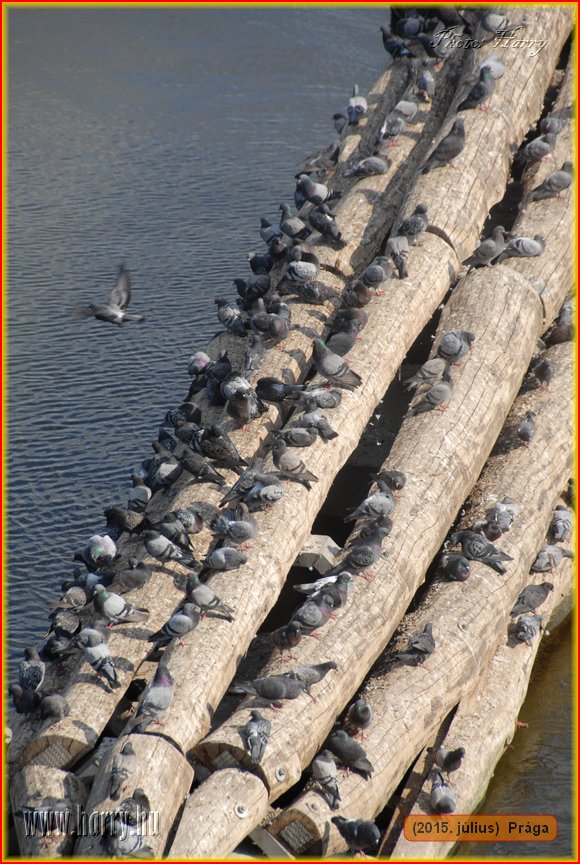 (2015.julius)Praga-233.jpg