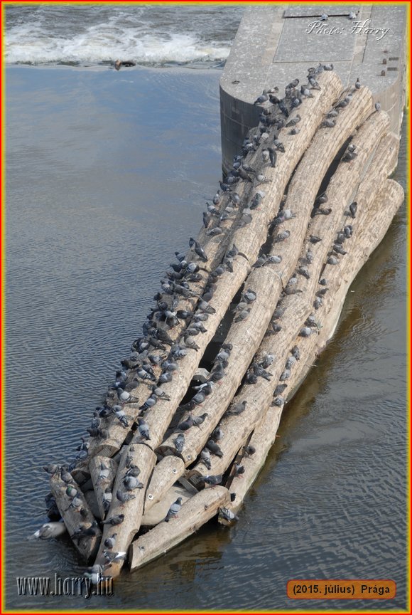 (2015.julius)Praga-234.jpg