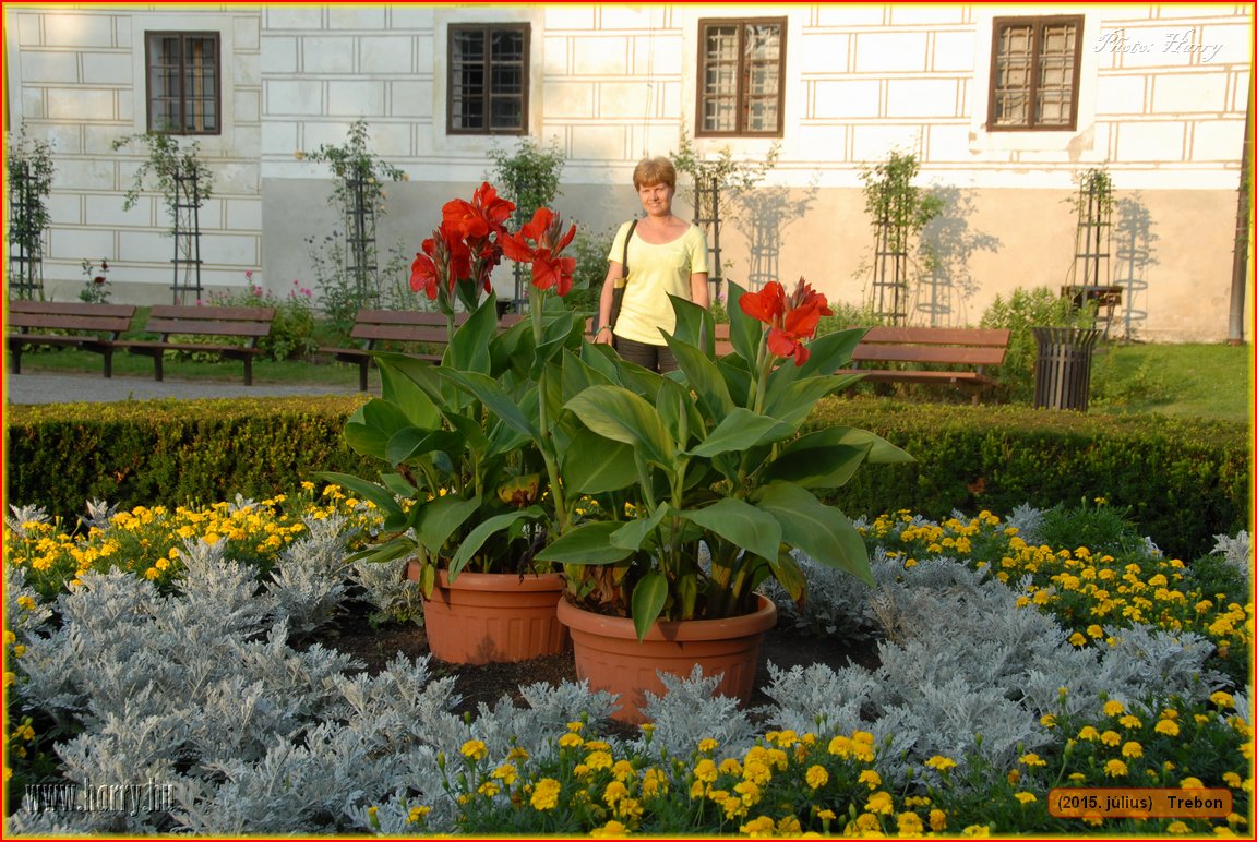 (2015.julius)Trebon-095.jpg