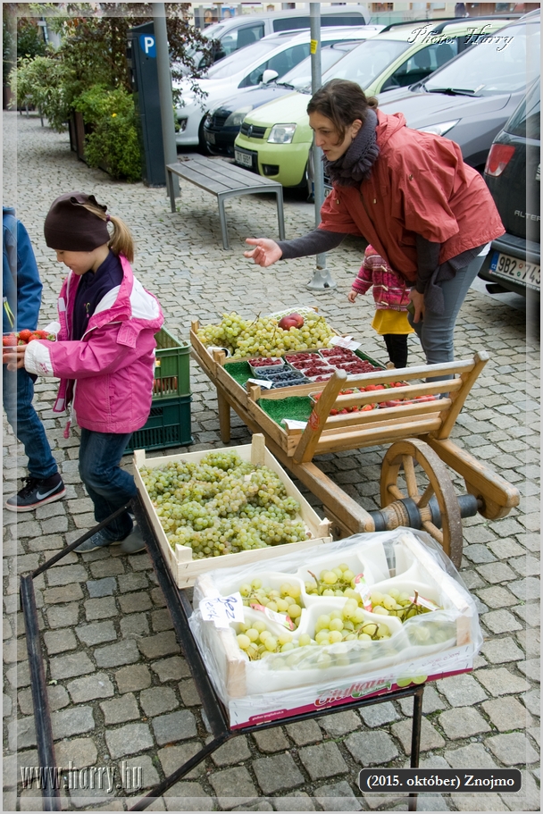 (2015.oktober)Znojmo-05.jpg