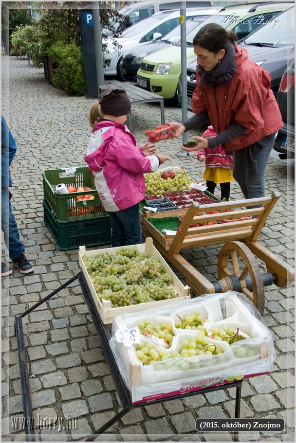 (2015.oktober)Znojmo-06.jpg