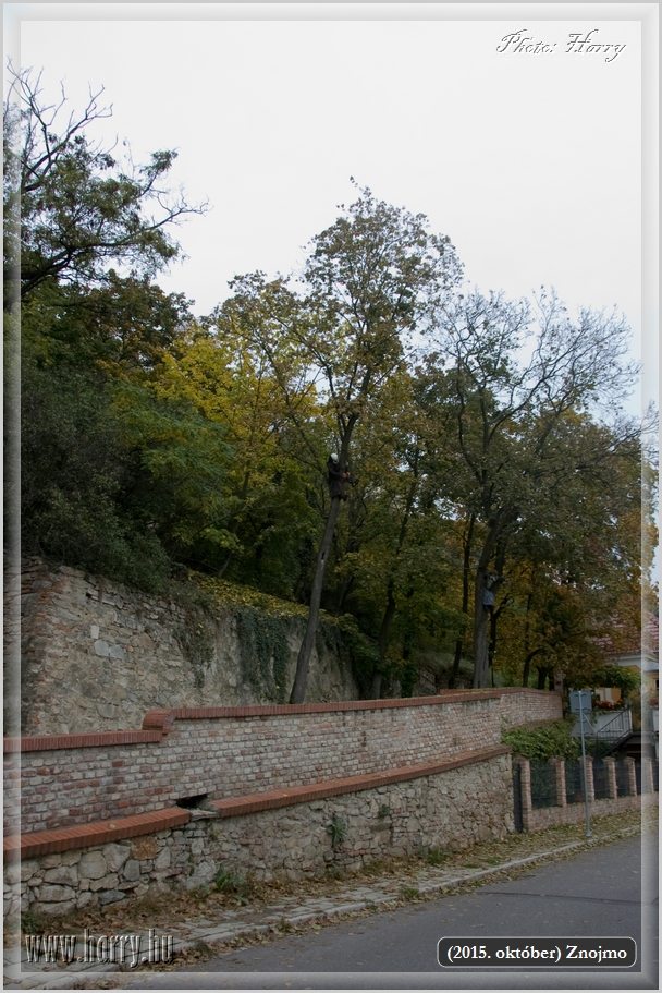 (2015.oktober)Znojmo-18.jpg