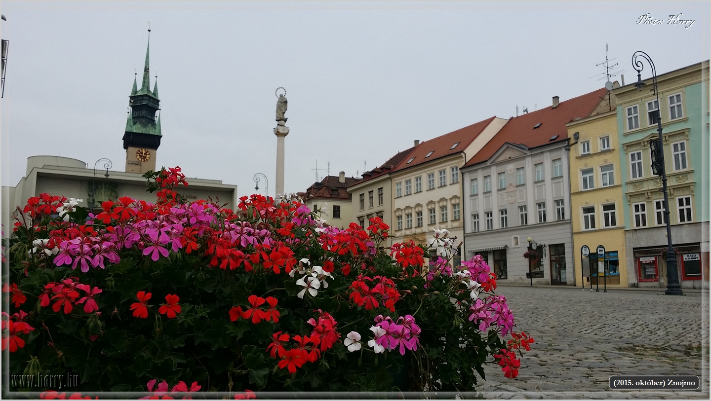 (2015.oktober)Znojmo-Mobilfoto-87.jpg