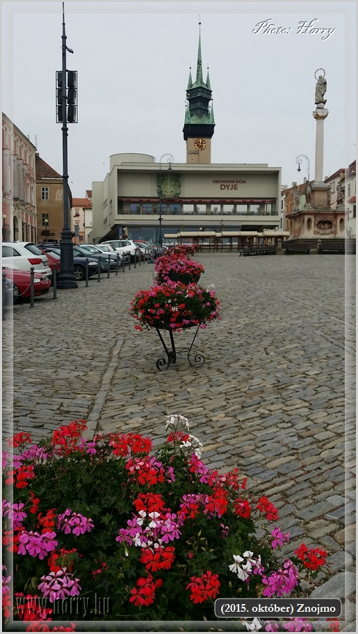 (2015.oktober)Znojmo-Mobilfoto-88.jpg