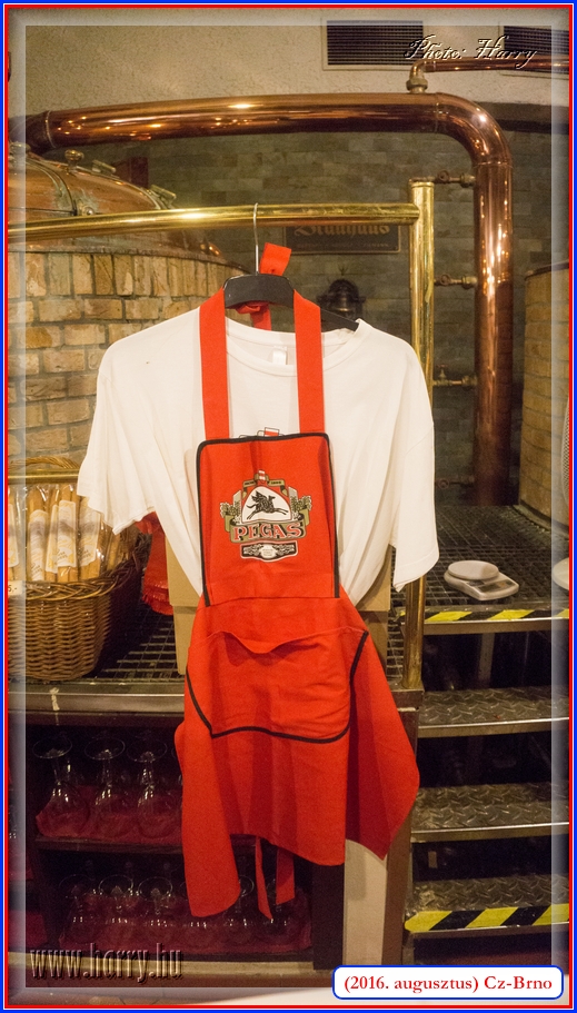(2016.augusztus)Cz-Brno-044.jpg