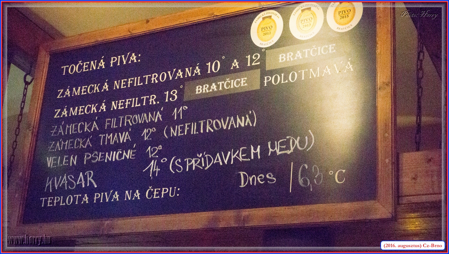 (2016.augusztus)Cz-Brno-137.jpg