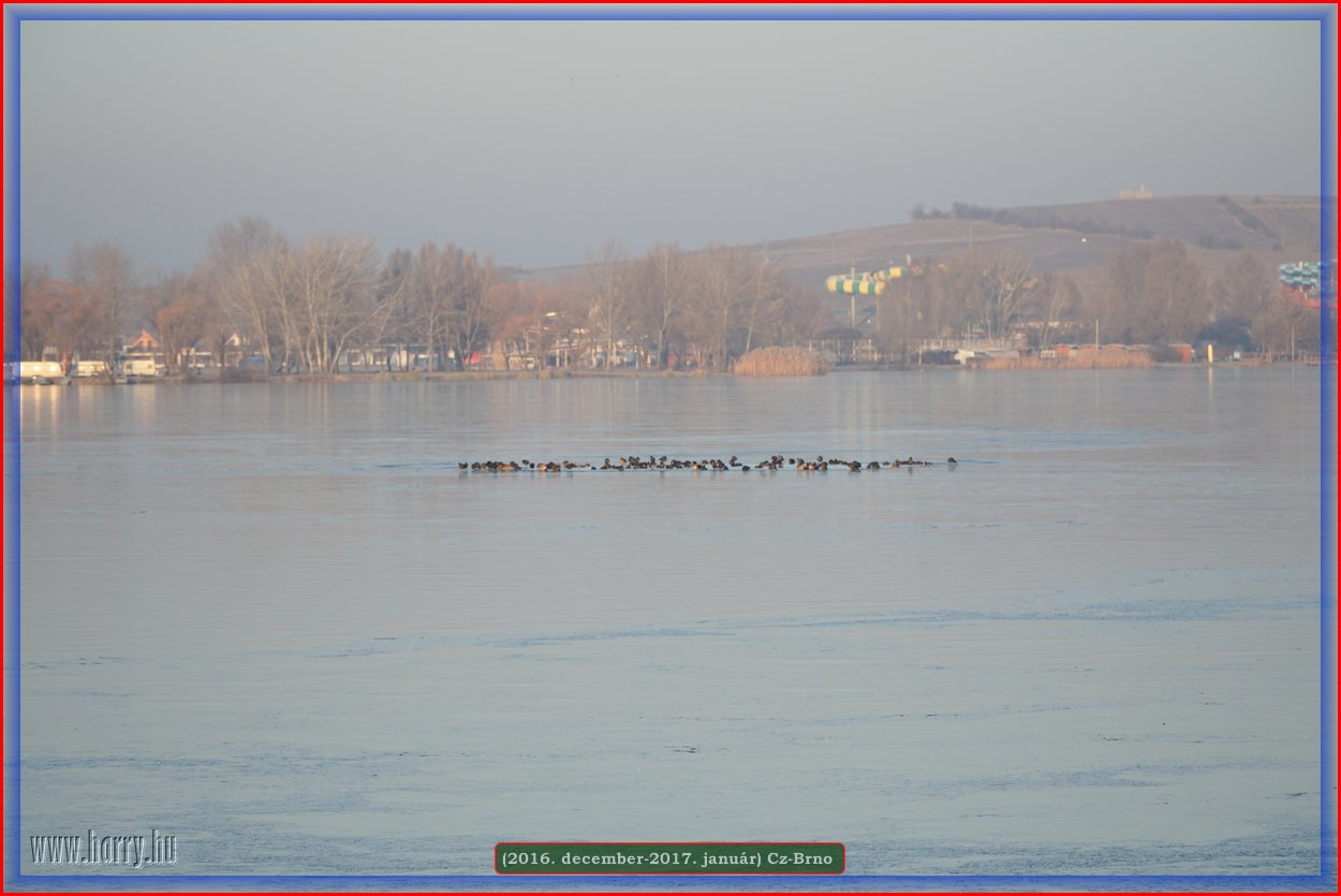 (2016.december)Cz-Brno-007.jpg