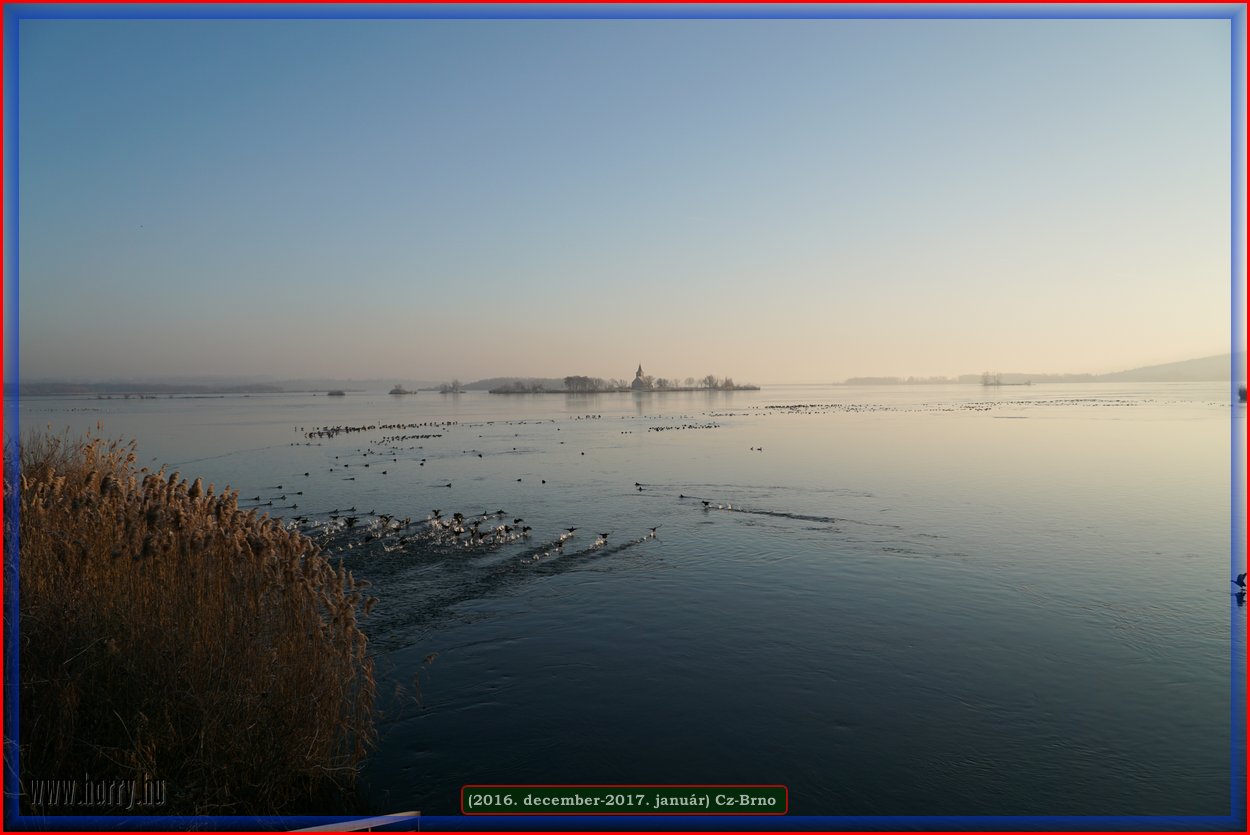 (2016.december)Cz-Brno-008.jpg