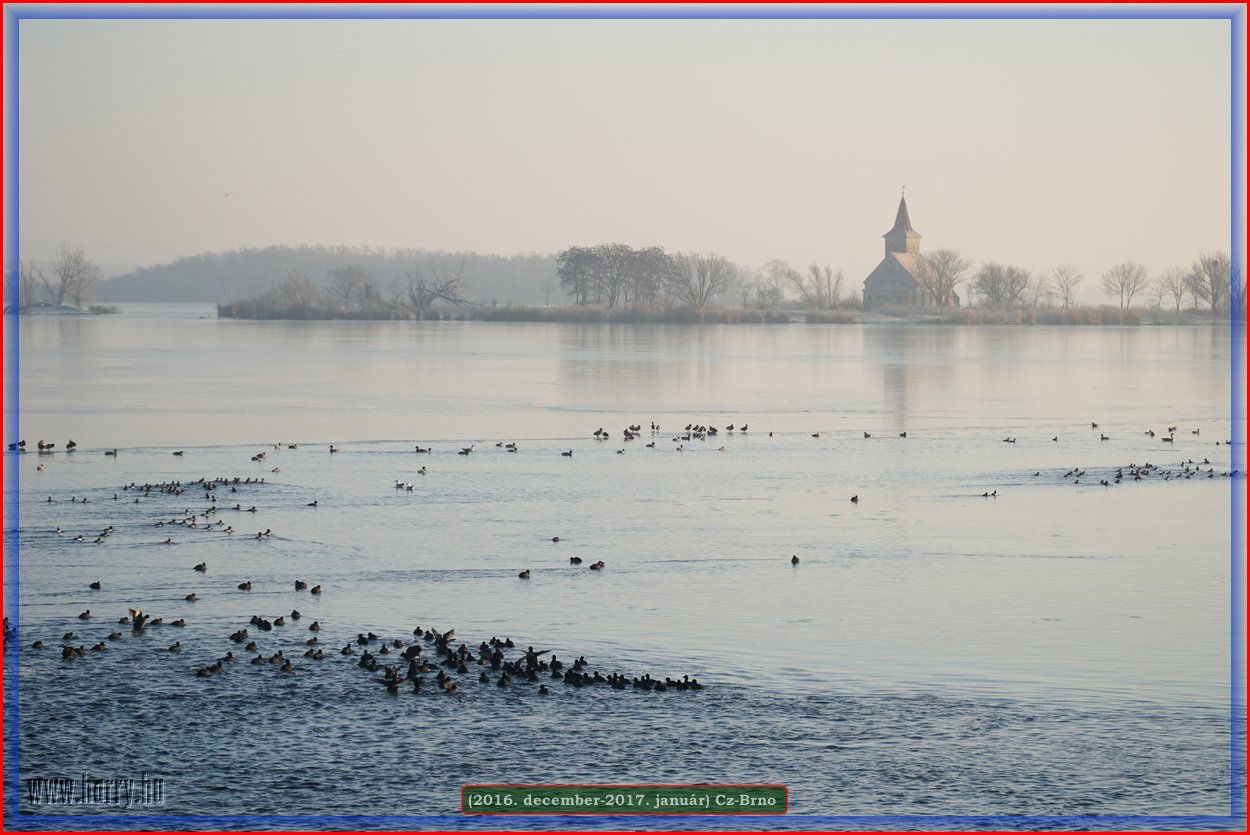 (2016.december)Cz-Brno-011.jpg