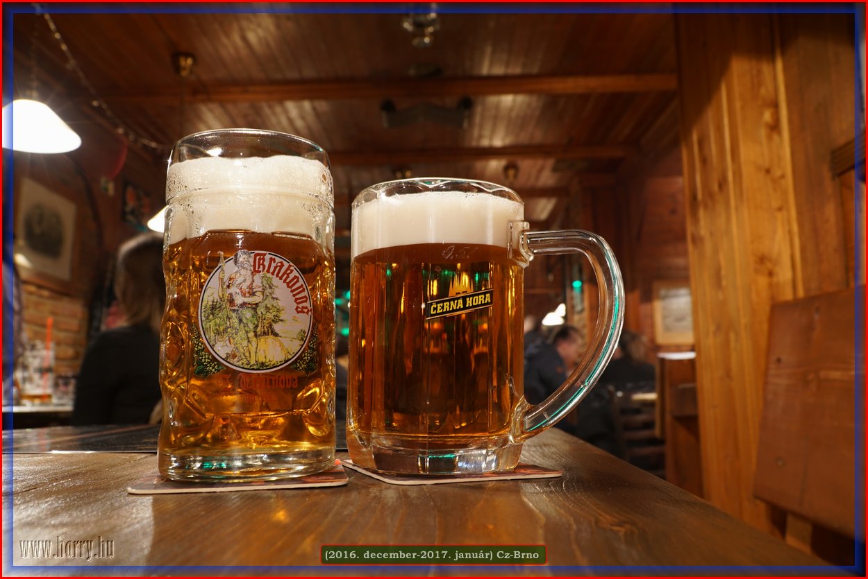 (2016.december)Cz-Brno-063.jpg