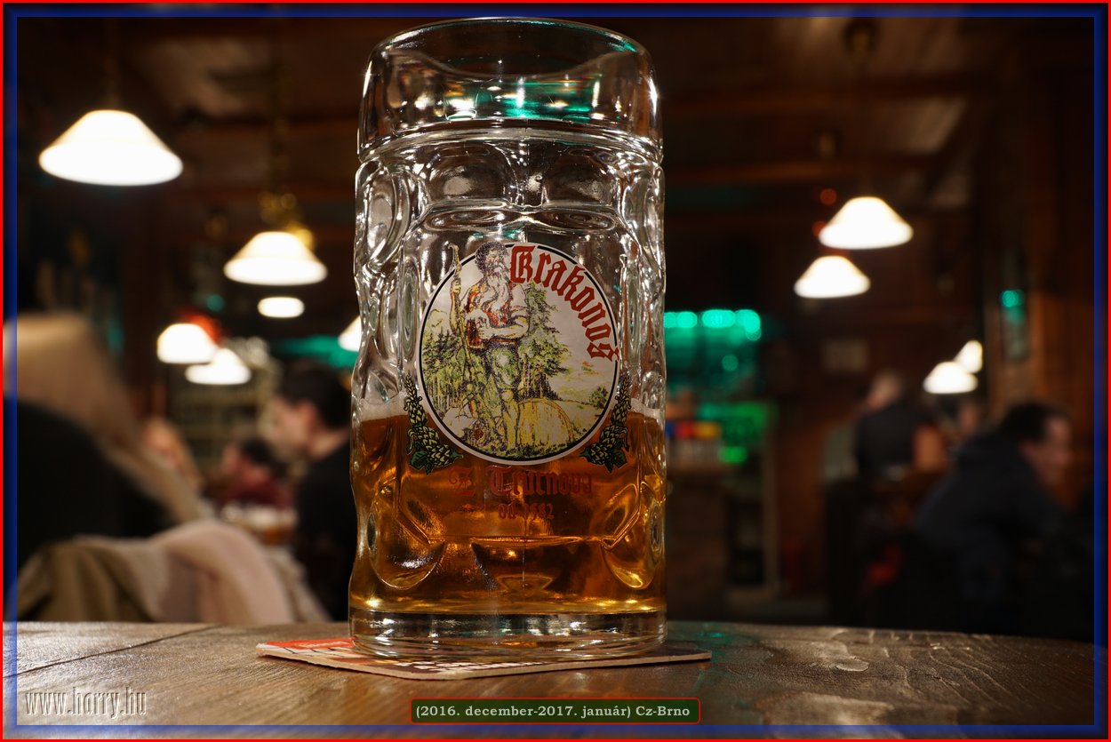 (2016.december)Cz-Brno-064.jpg