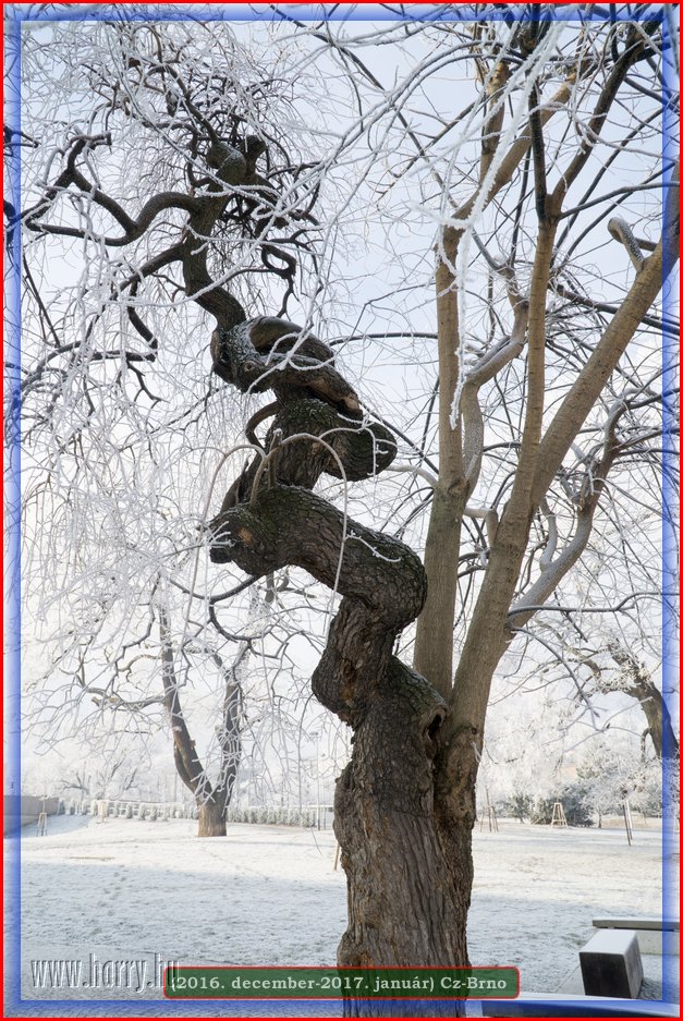 (2016.december)Cz-Brno-067.jpg