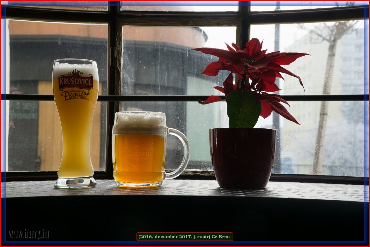 (2016.december)Cz-Brno-074.jpg