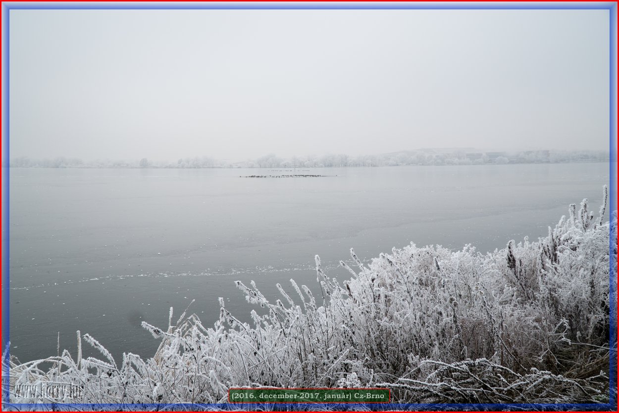 (2016.december)Cz-Brno-085.jpg
