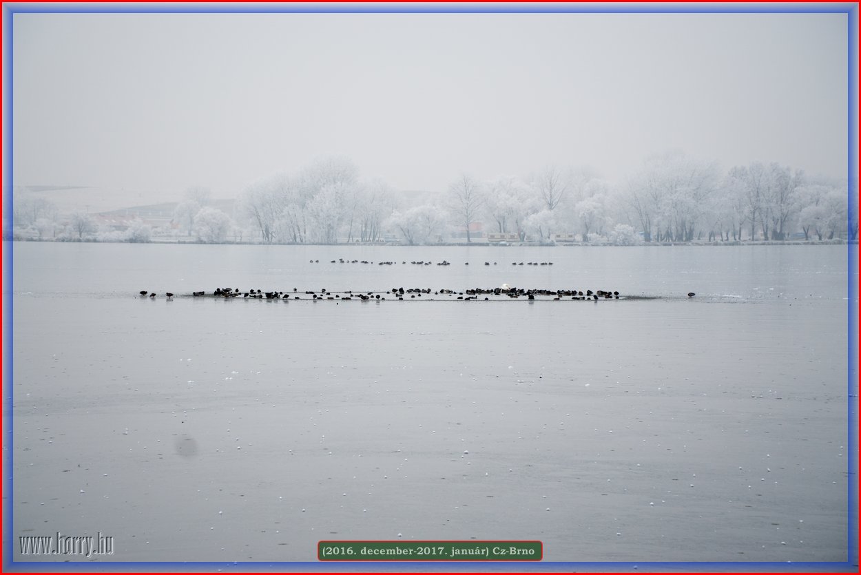 (2016.december)Cz-Brno-086.jpg