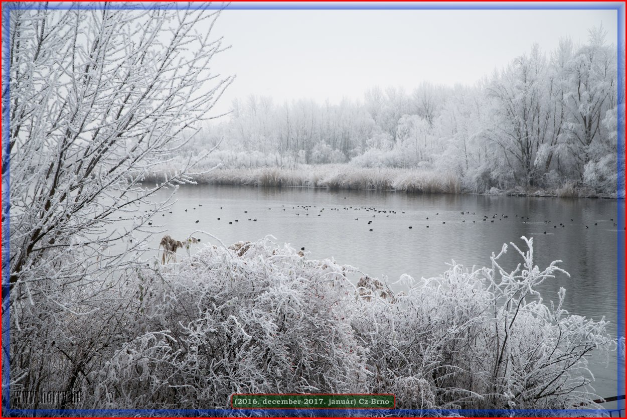 (2016.december)Cz-Brno-087.jpg