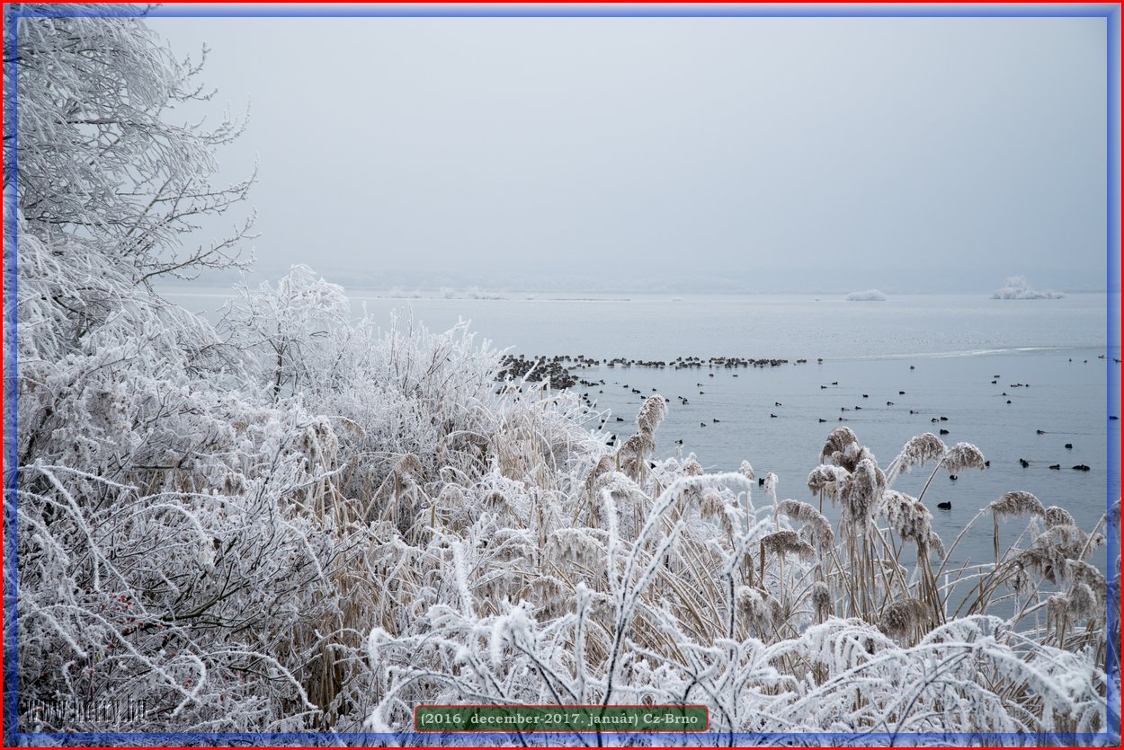 (2016.december)Cz-Brno-088.jpg