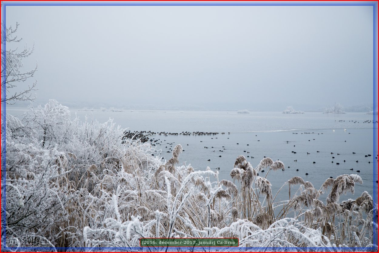 (2016.december)Cz-Brno-089.jpg