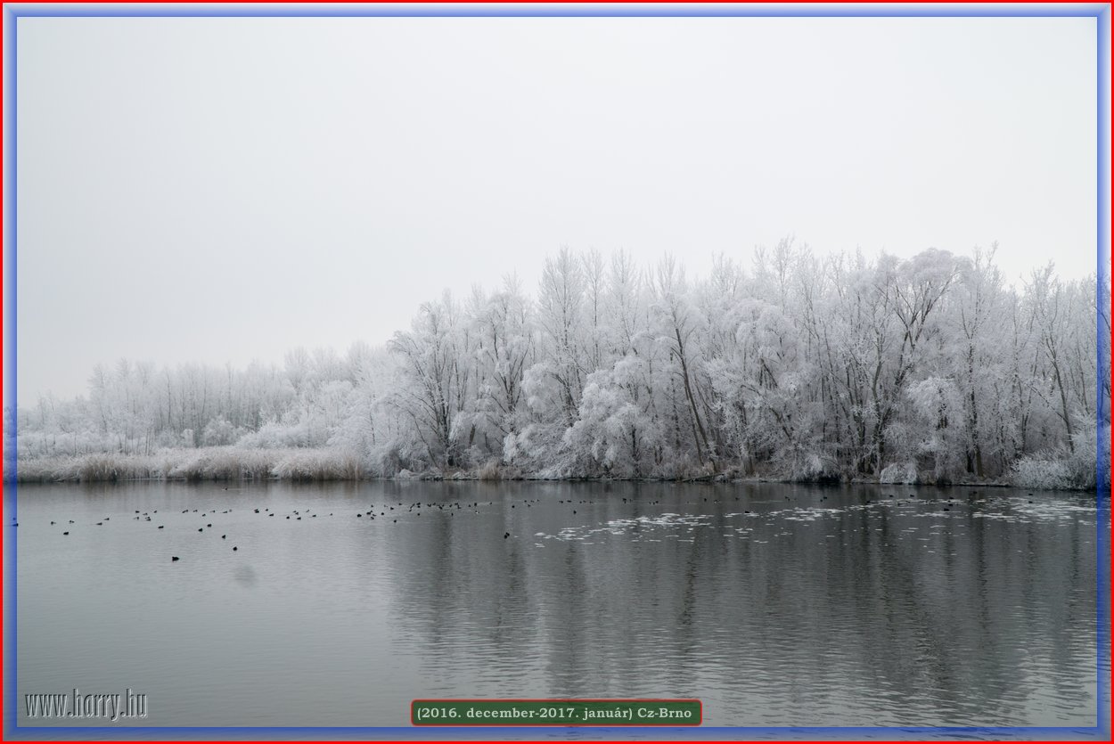 (2016.december)Cz-Brno-090.jpg
