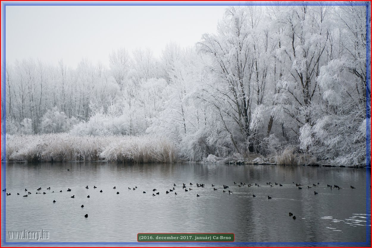 (2016.december)Cz-Brno-091.jpg