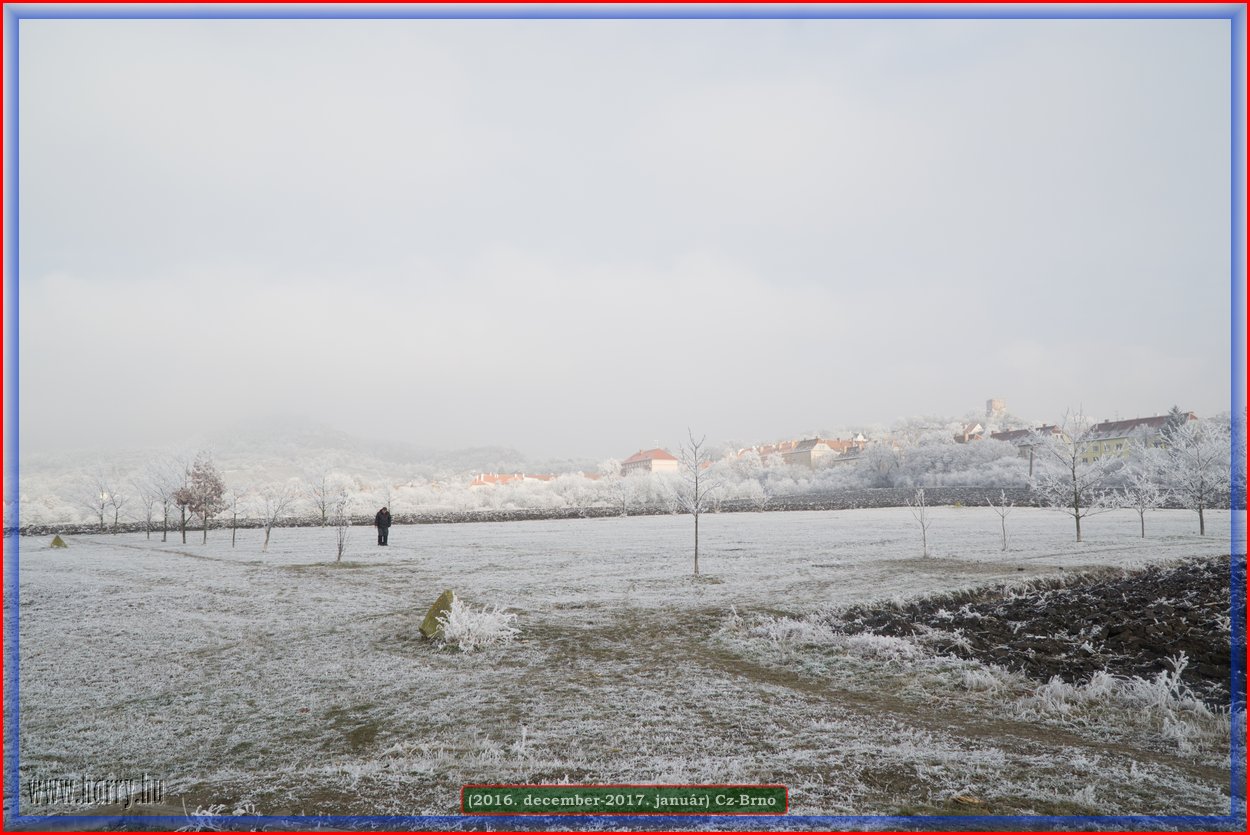 (2016.december)Cz-Brno-102.jpg
