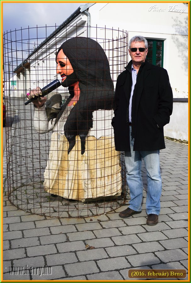 (2016.februar)Brno-001.jpg