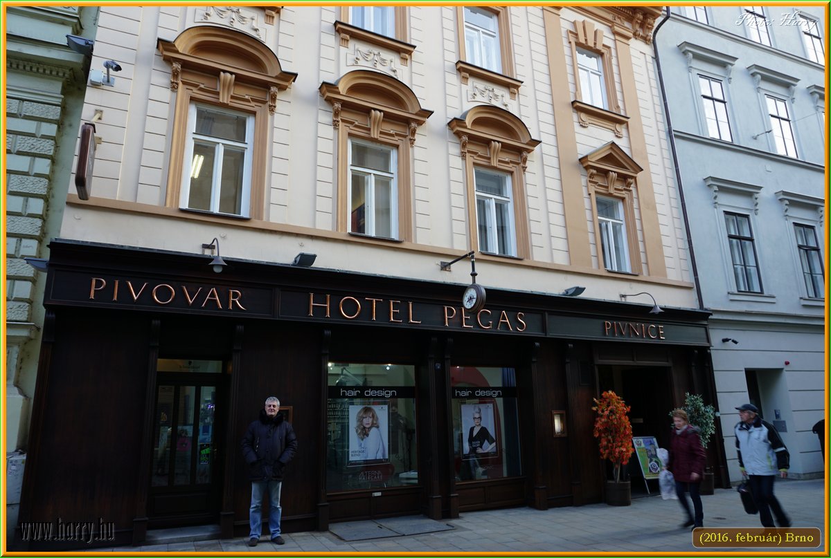 (2016.februar)Brno-024.jpg