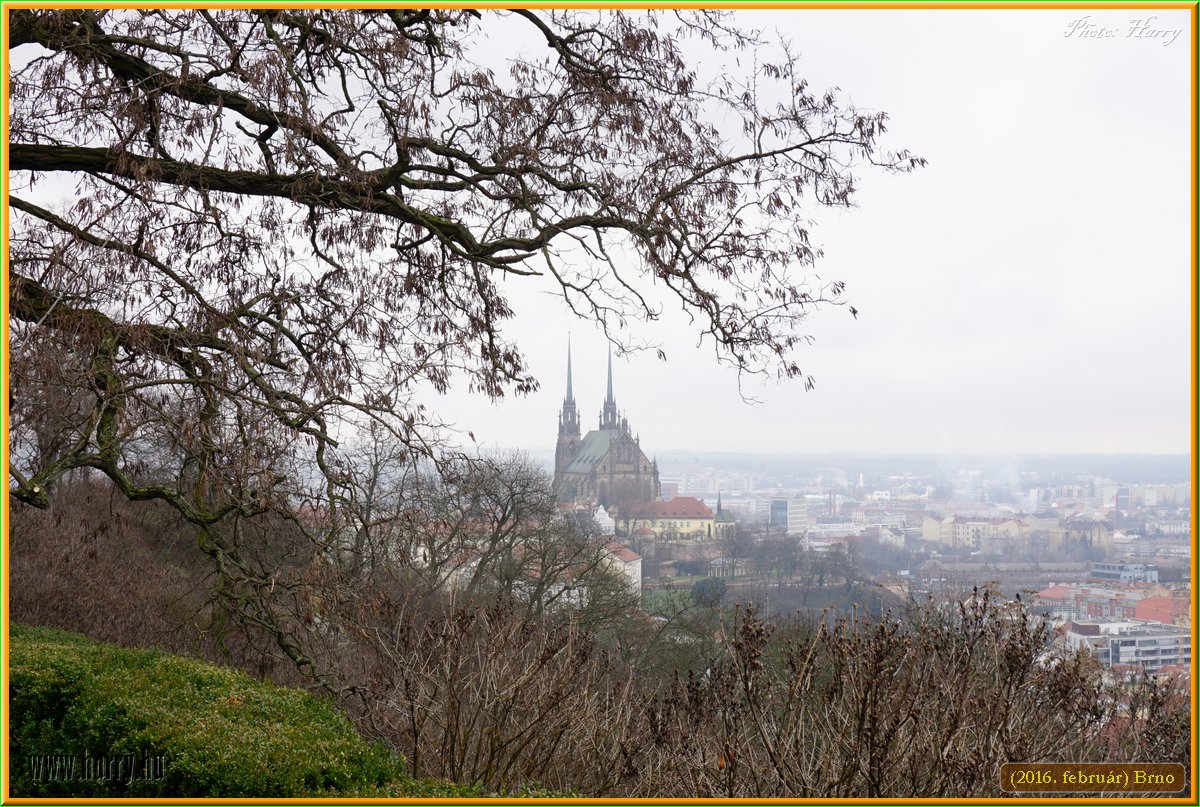 (2016.februar)Brno-050.jpg