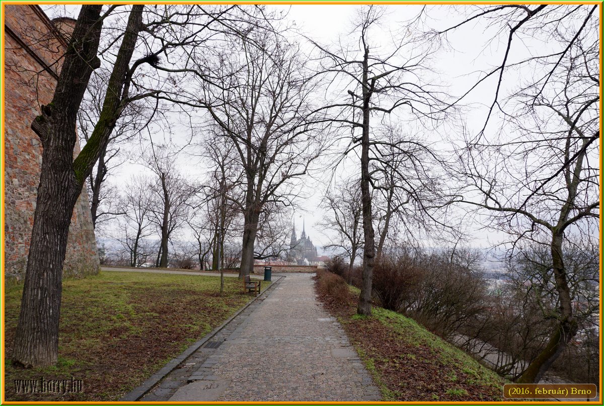 (2016.februar)Brno-053.jpg