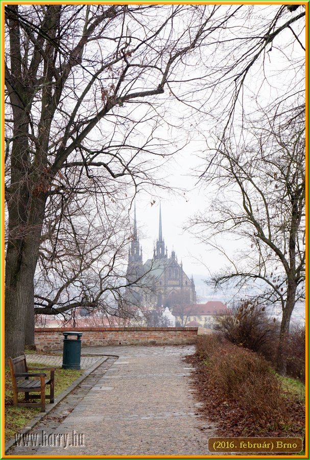 (2016.februar)Brno-054.jpg