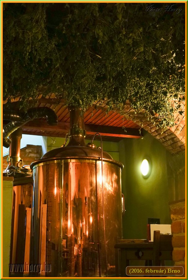 (2016.februar)Brno-106.jpg