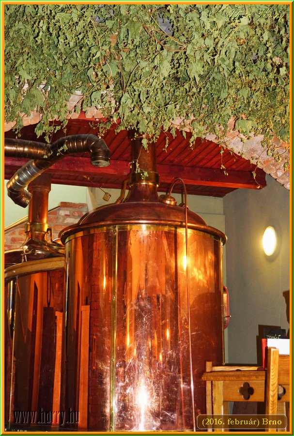 (2016.februar)Brno-107.jpg