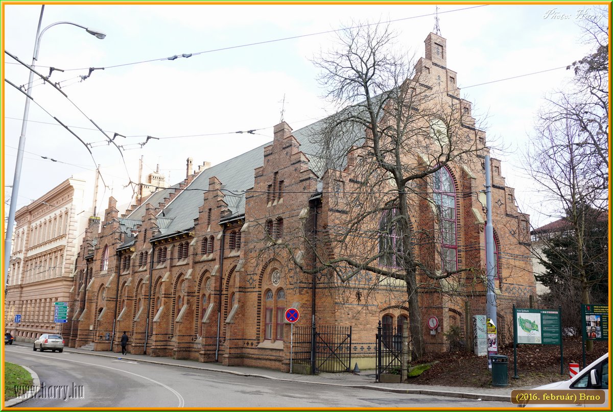 (2016.februar)Brno-111.jpg