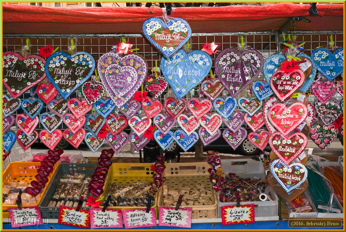 (2016.februar)Brno-121.jpg