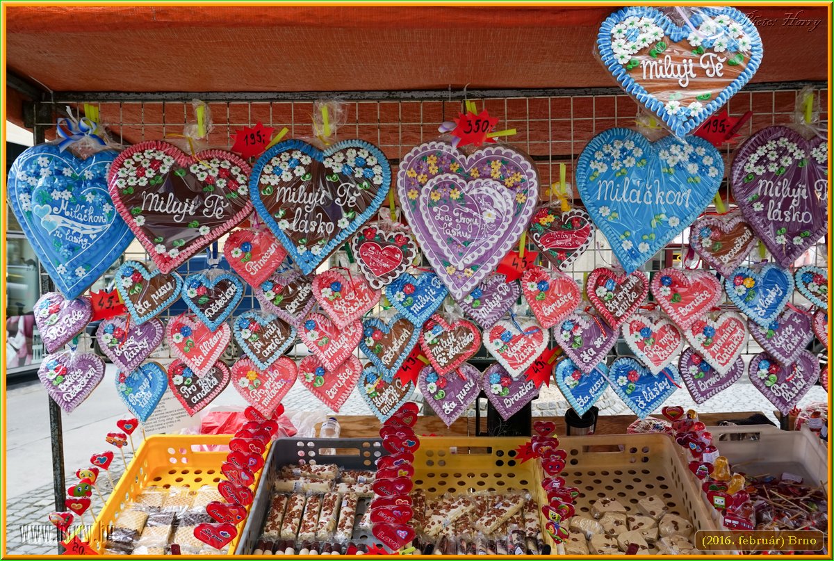 (2016.februar)Brno-122.jpg