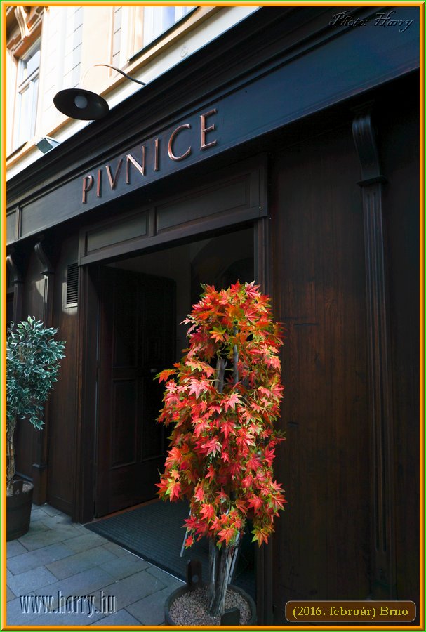 (2016.februar)Brno-123.jpg
